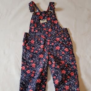Oshkosh B'gosh Cute Overalls 18M